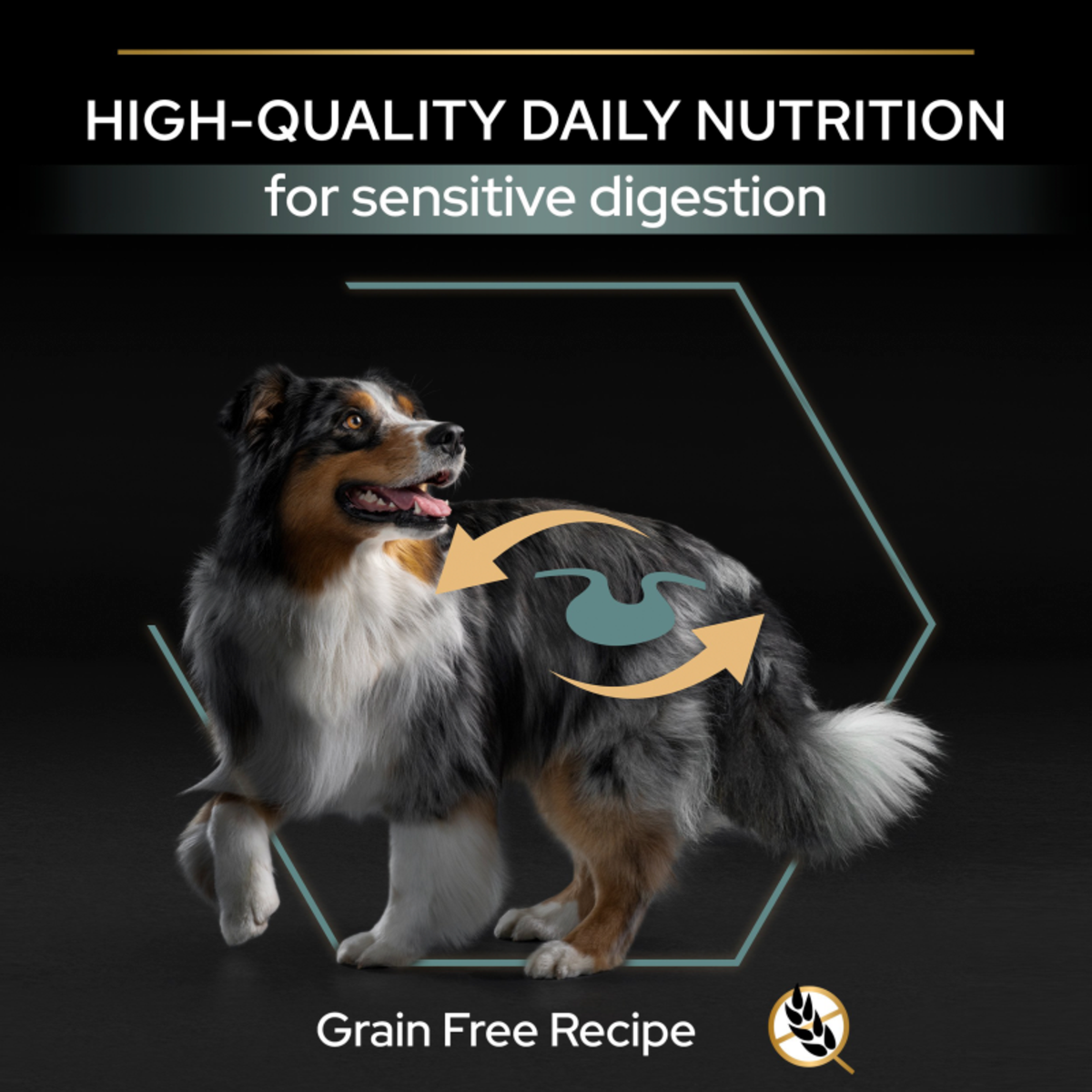 Pro Plan Grain Free Sensitive Digestion Turkey Dry Dog Food - 12kg_6